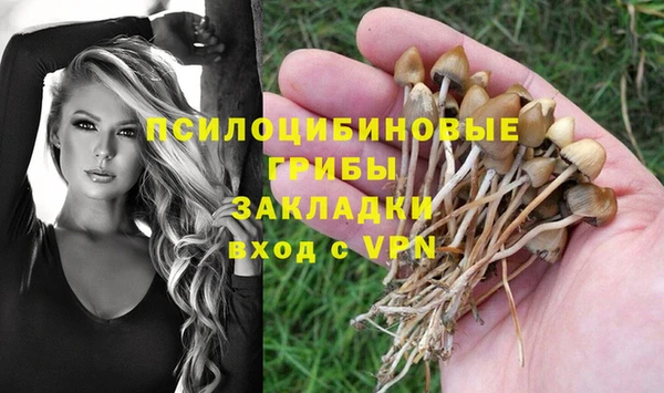 a pvp Абаза