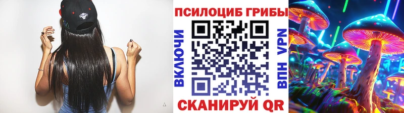 это как зайти Змеиногорск Псилоцибиновые грибы Psilocybe